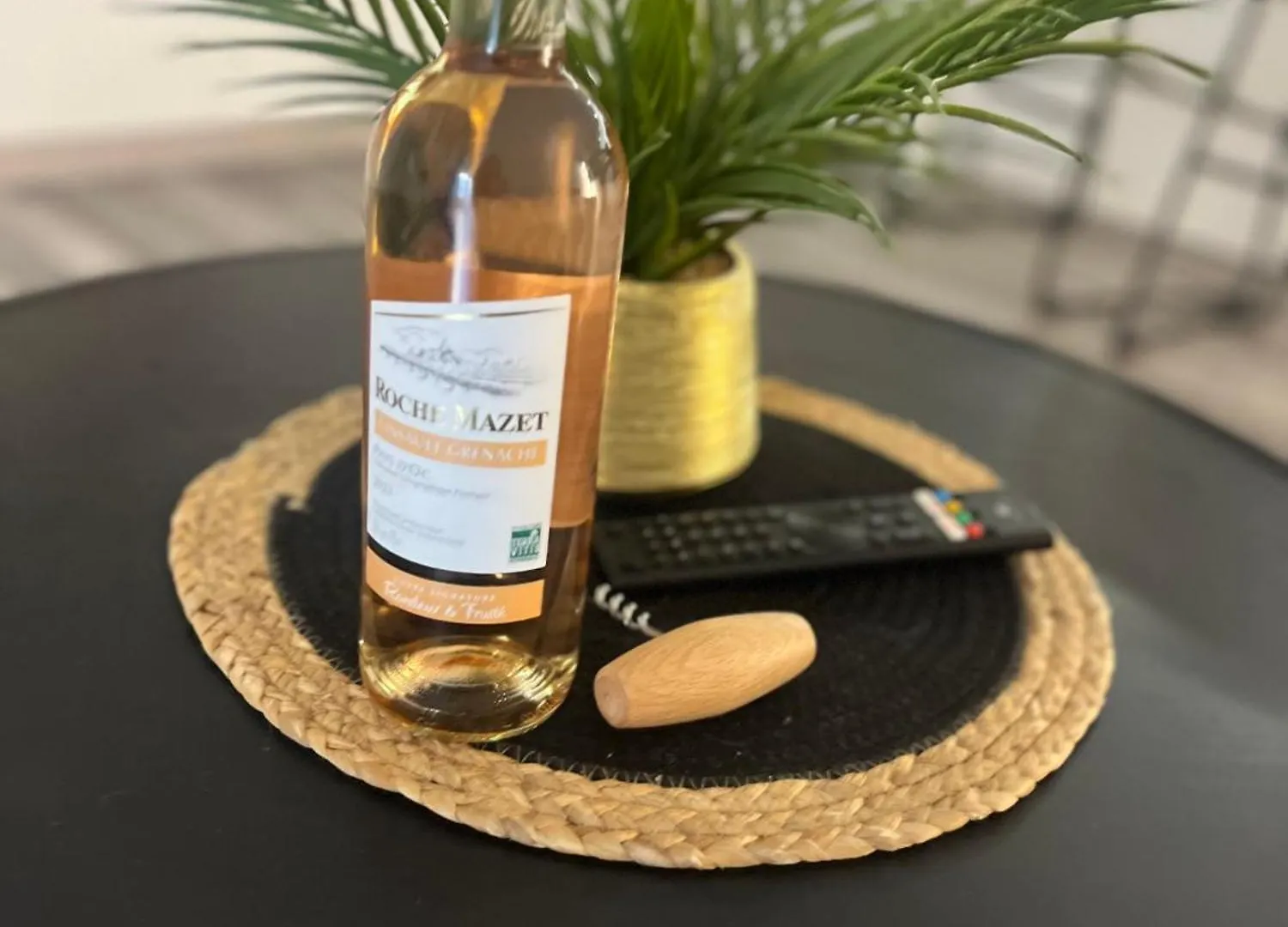 Holiday home Ecrin De La Riviere Villa Sourribes